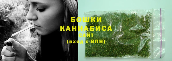 спиды Арсеньев
