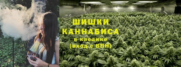 ешки Алзамай