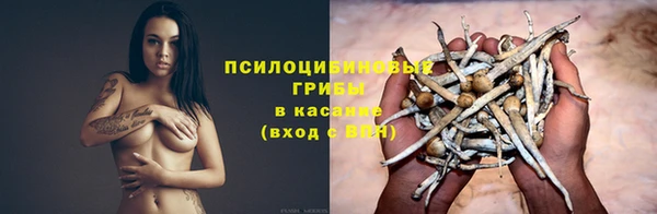 прущие крисы Армянск