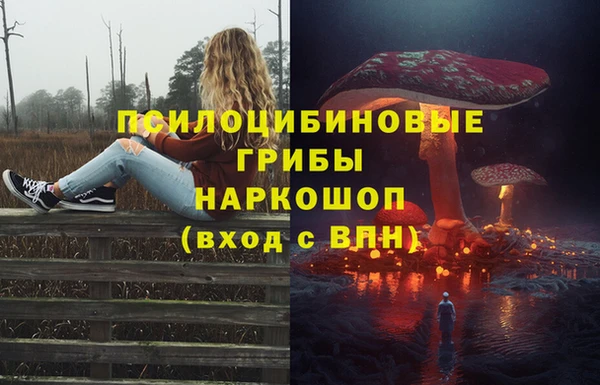 кокс Аркадак