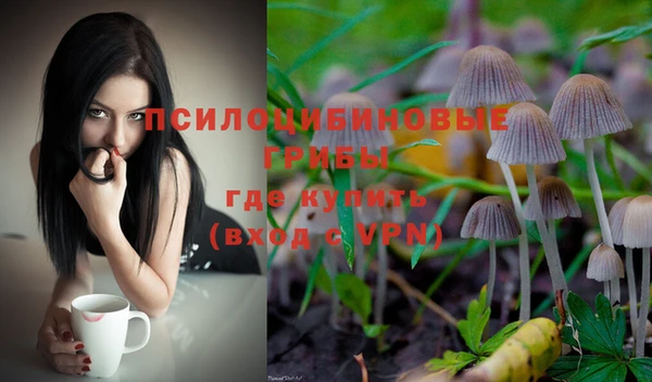 герыч Сатка