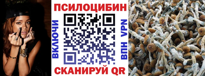 даркнет сайт  нарко площадка какой сайт  Псилоцибиновые грибы мухоморы  Спасск-Дальний 
